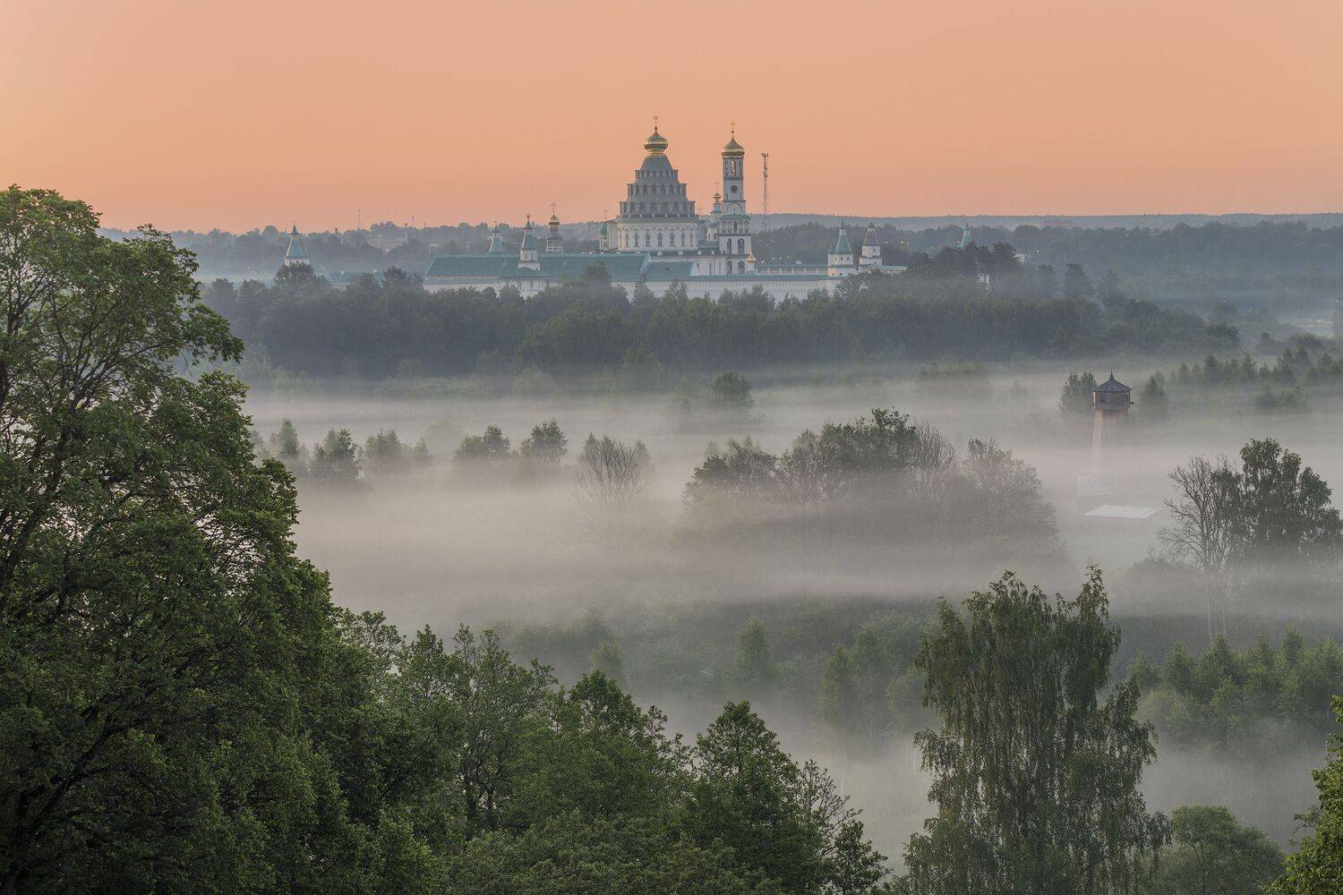 Истра, Елена Гусева