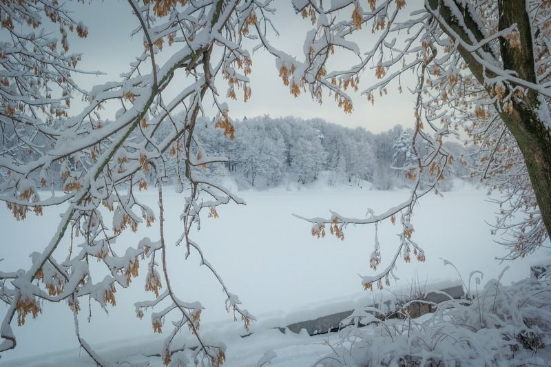 Белая зима фото превью