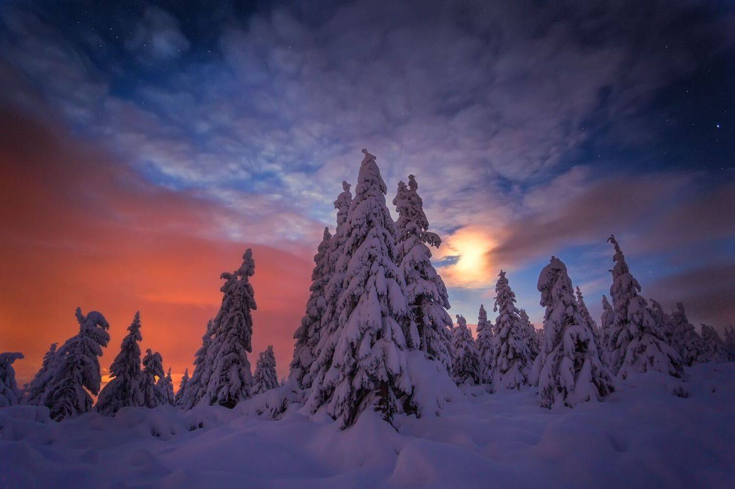 landscape,winter,mountains,canon, Iza i Darek Mitręga