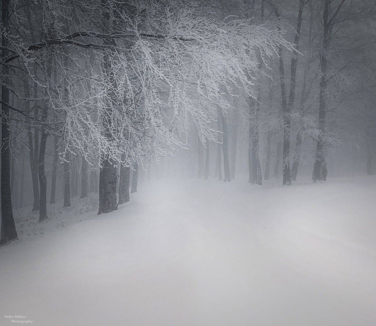 , Петко Петков