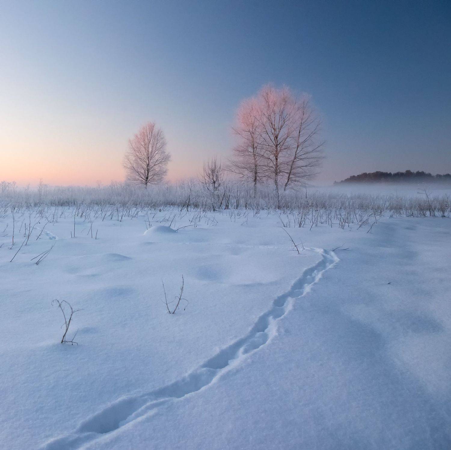 , Руслан Авдевич