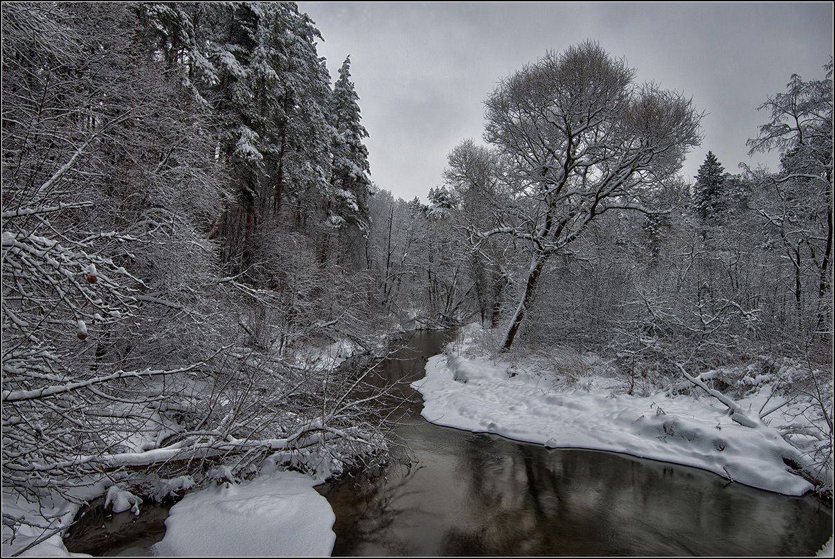 москва, зима, река, лес, снег, АНАТОЛИЙ ДОВЫДЕНКО