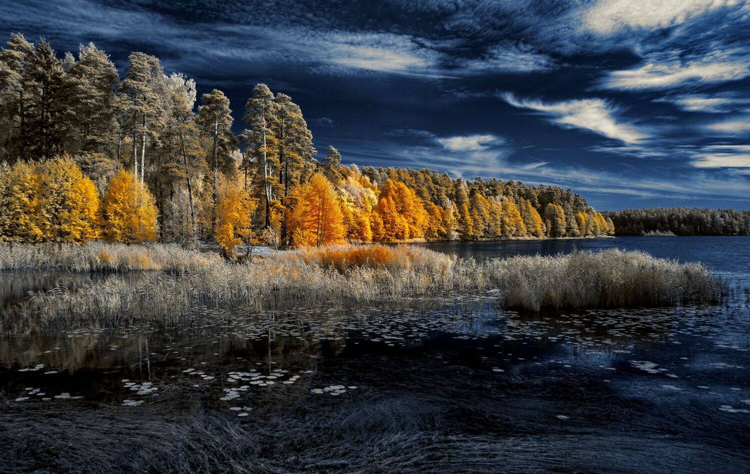 , Sixten ( Сергей )