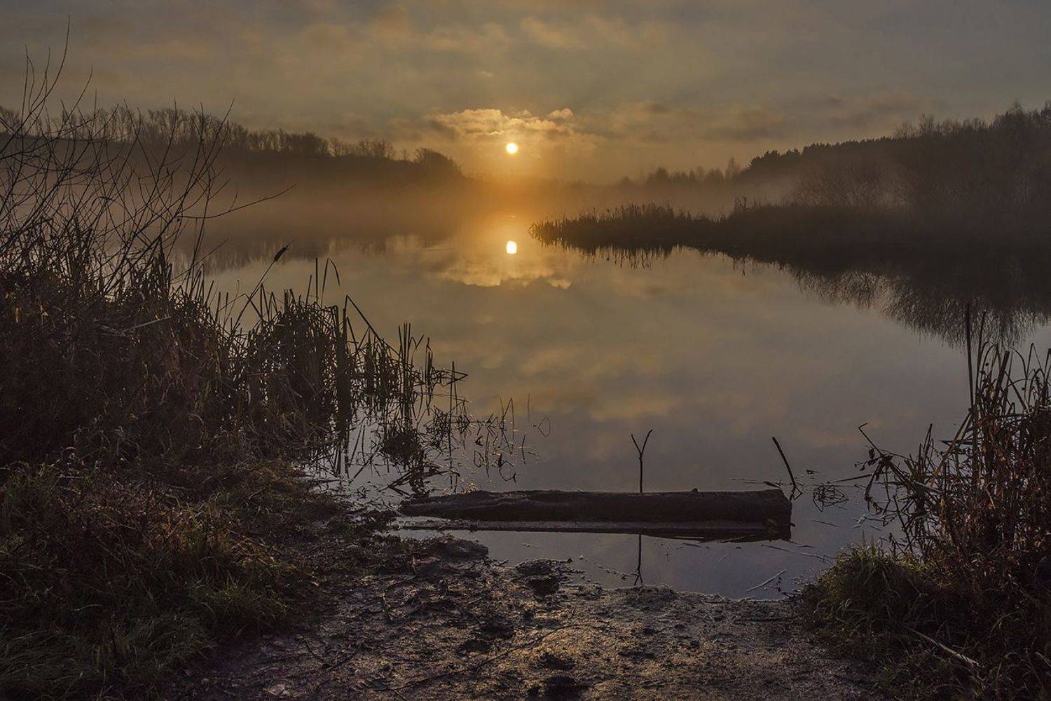 утро, рассвет, архангельское, Михаил Агеев