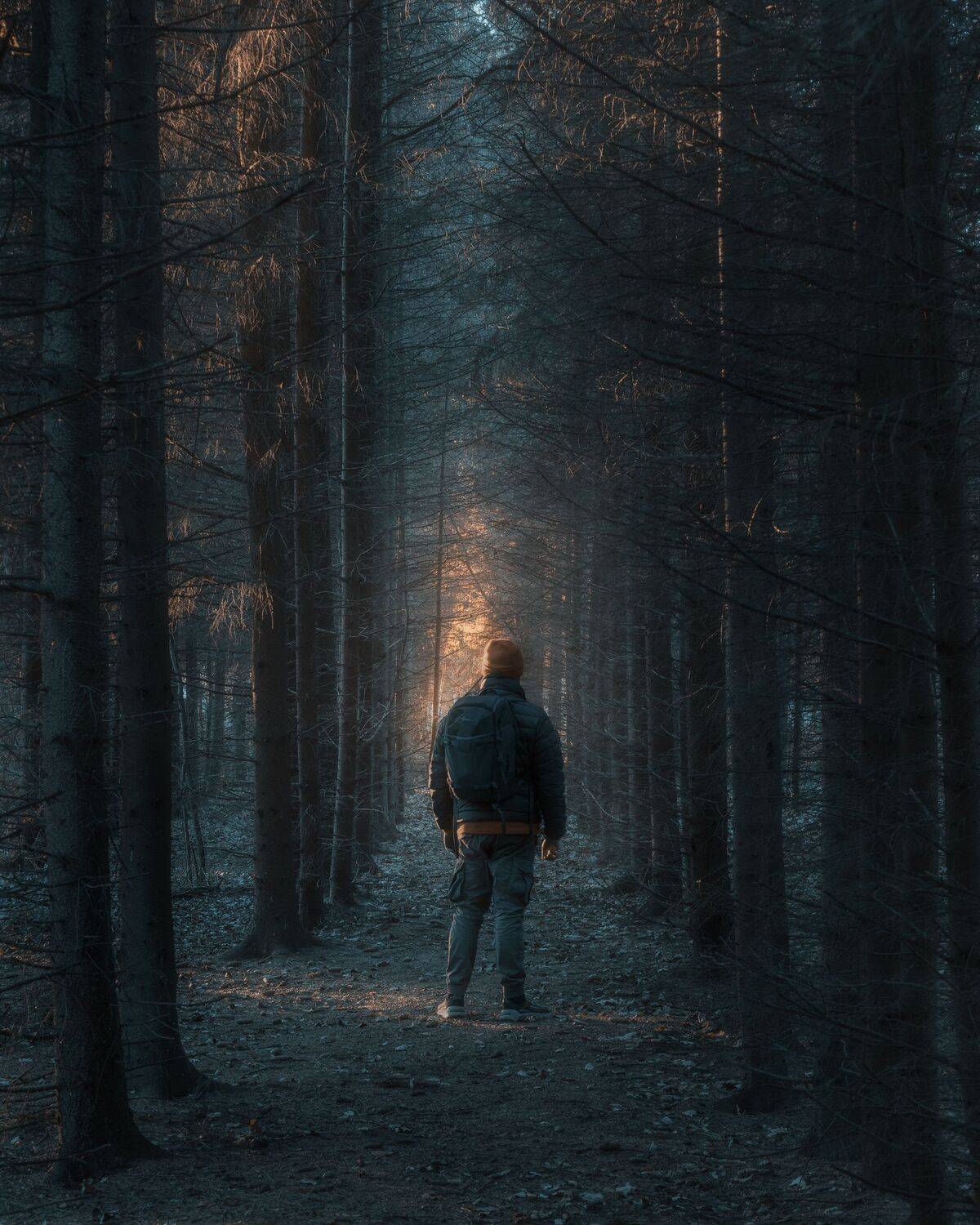 природа, лес, человек, пейзаж, Московская область, лесной пейзаж, Мартыненко Дмитрий