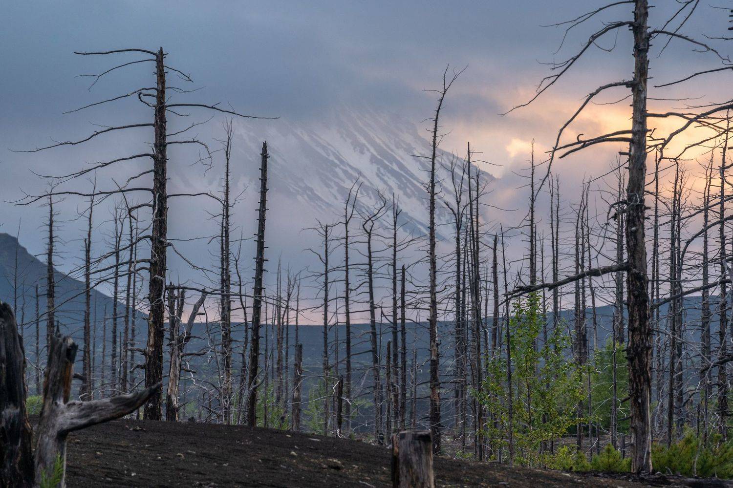 камчатка, вулкан, толбачик, мертвый лес, Баландин Дмитрий
