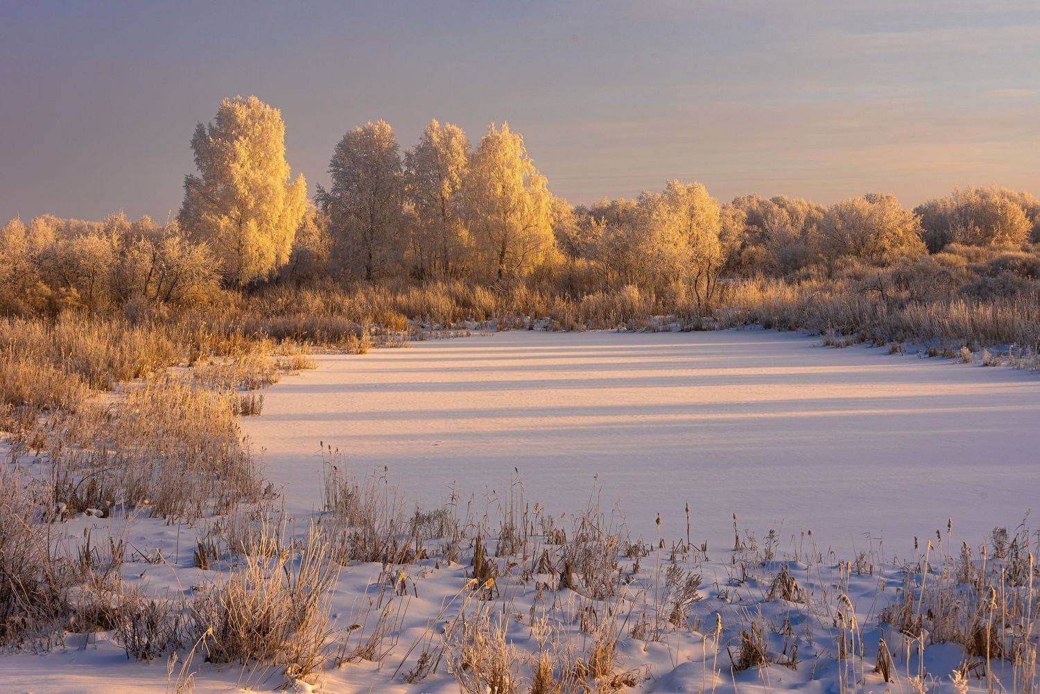 , Максим Ватрушкин
