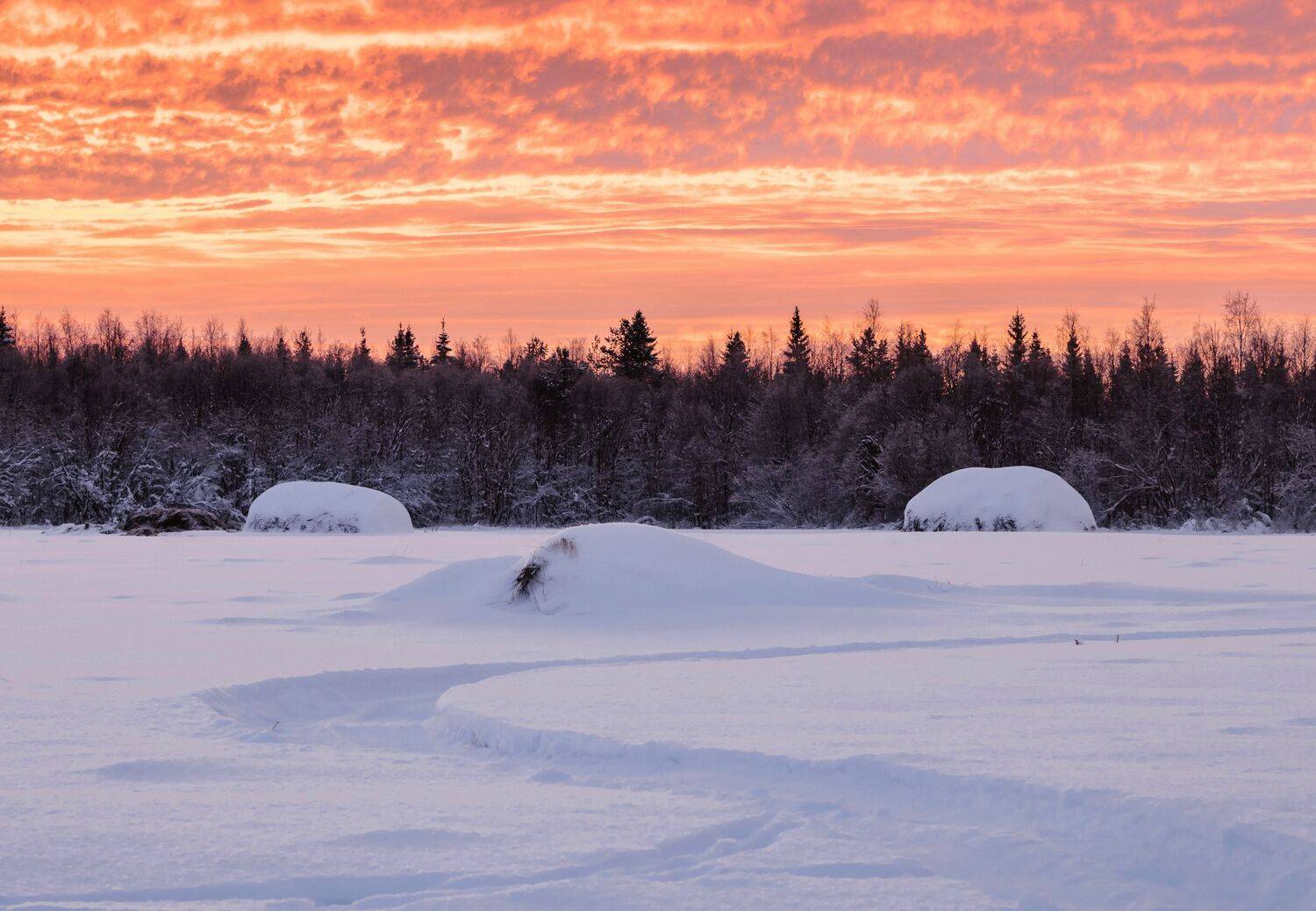 зима, снег, утро, небо, заря, стог, сено, поле, лес, Титов Александр