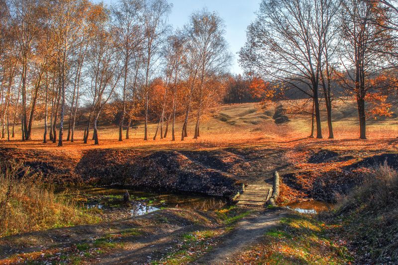 Мостик в осень фото превью