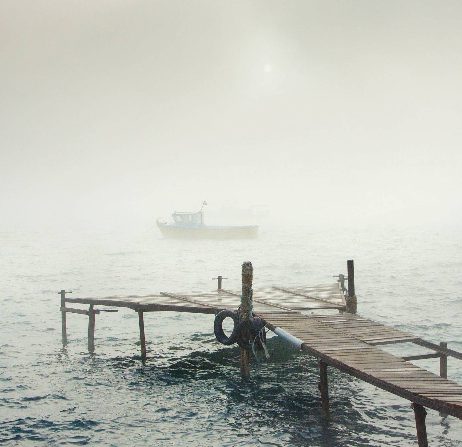 , Елена Покрепа