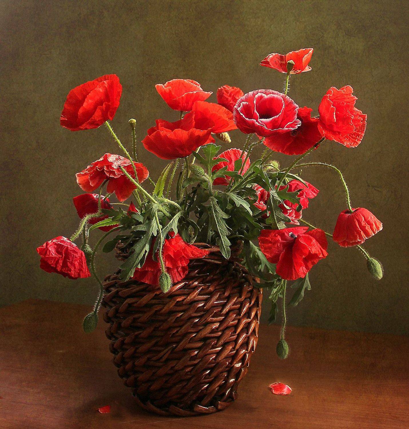 лето,  цветы, натюрморт, марина филатова, маки, Марина Филатова