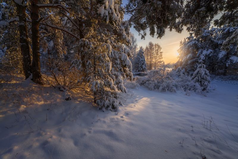 Зимушка зима! фото превью