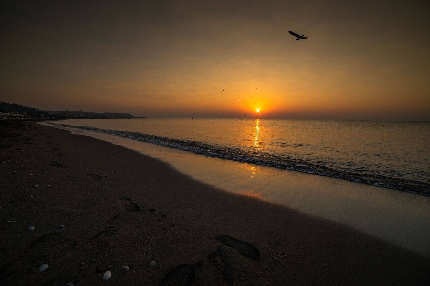 , Рут Андрей