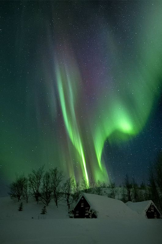 line фото превью