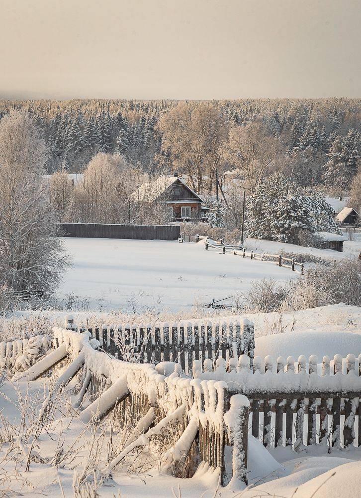 , Алексей Шуплецов