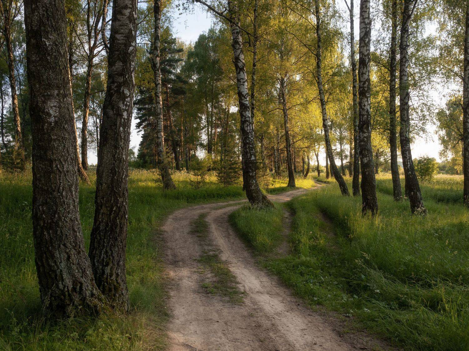 , Мозжухин Максим