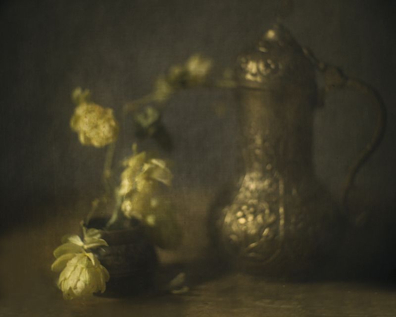 Хмельной вечер фото превью