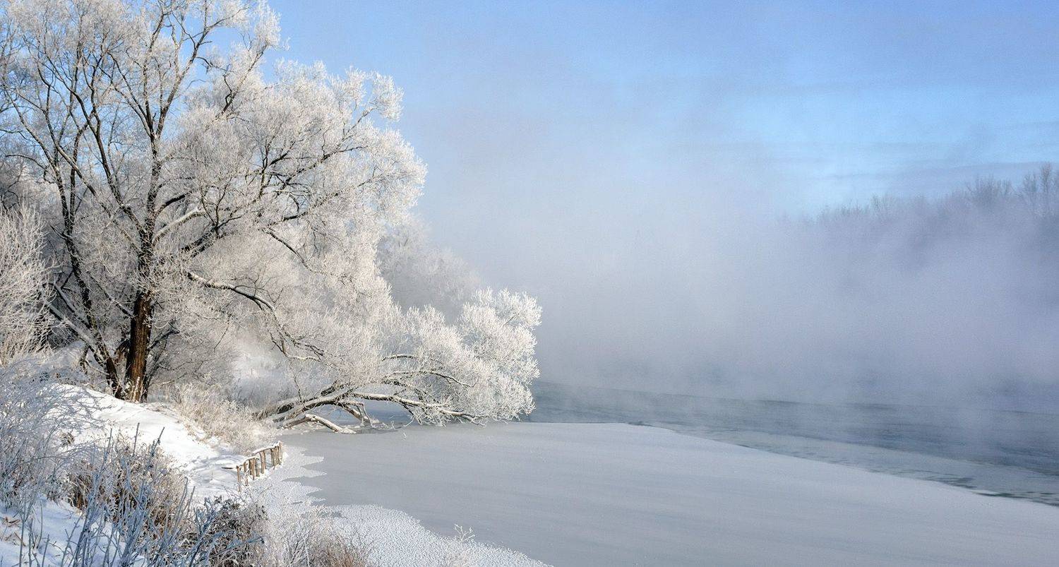 , Анатолий Зверев