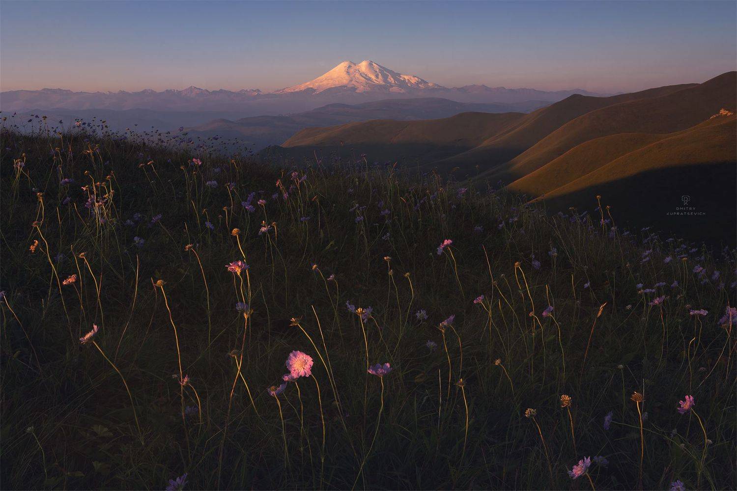 , Дмитрий Купрацевич