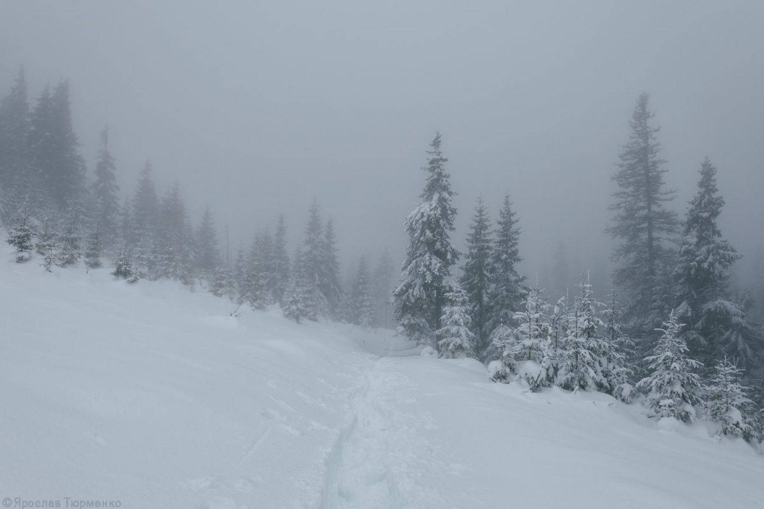 , Ярослав Тюрменко (Jaremi)