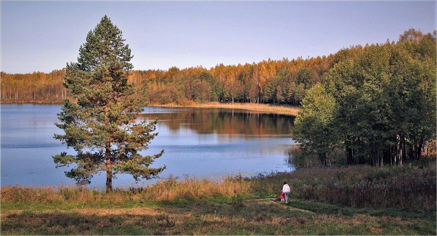 , Сергей Никсон