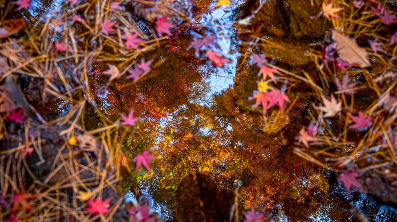 Let\'s get into the Autumn фото превью