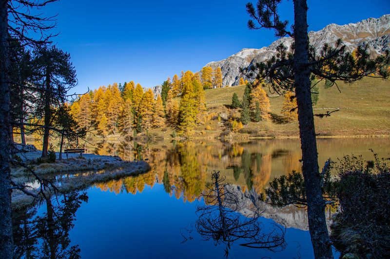 lake, palpuogna, reflection, water, autumn, travel, wanderlust Out of the Dark фото превью