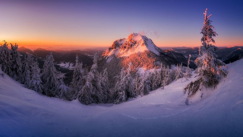 The King фото превью