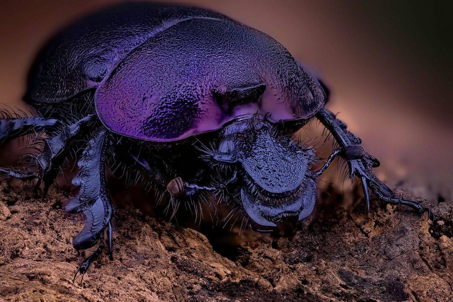 , Eugenijus Kavaliauskas