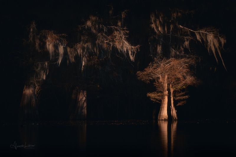 Кипарисовая светопись... фото превью
