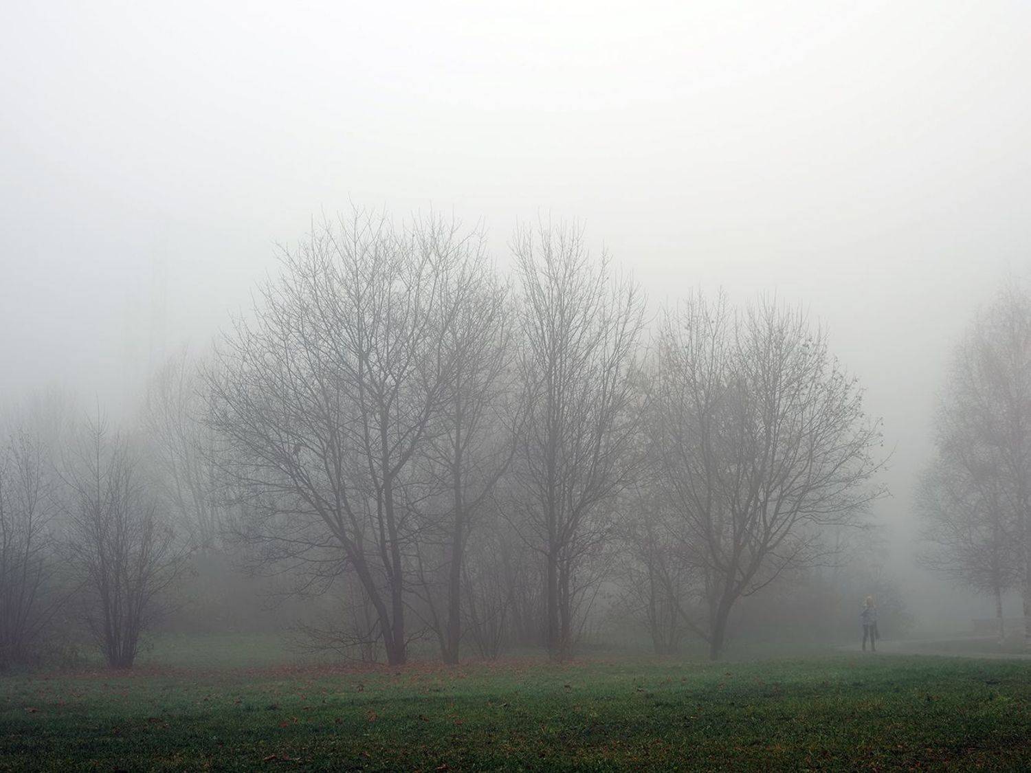 , Сергей Духанин