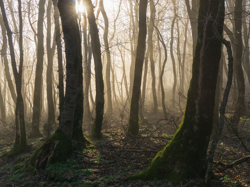 * фото превью