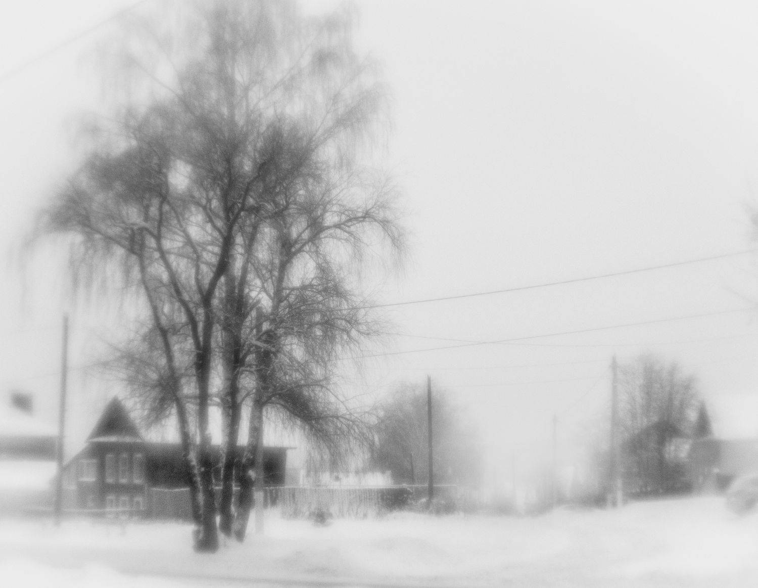 , Лариса Лофицкая