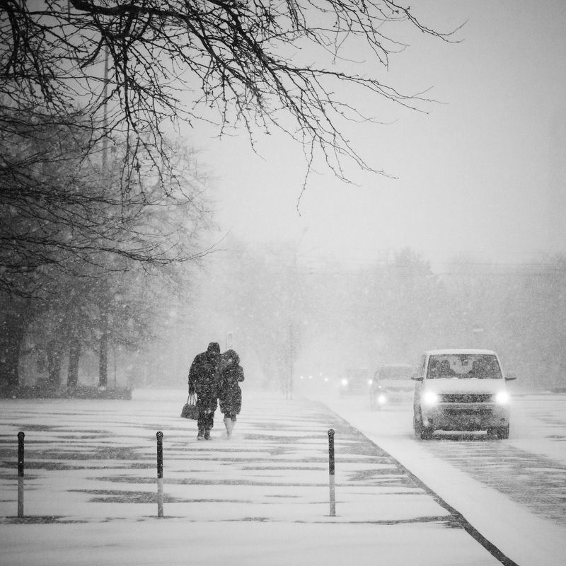 Заснежило... фото превью