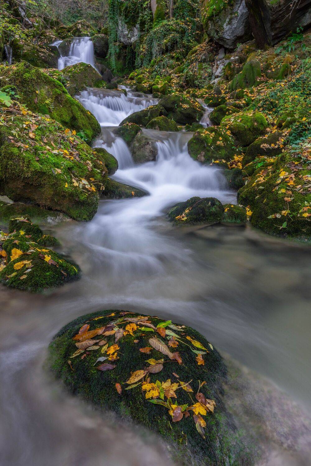 landscapes,river,nature,autumn,vertical, viktor demidov