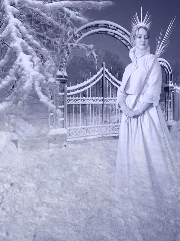 Врата в зиму фото превью