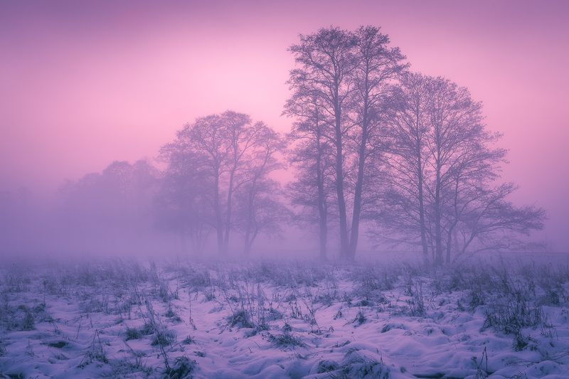 Magic of the blue hour фото превью