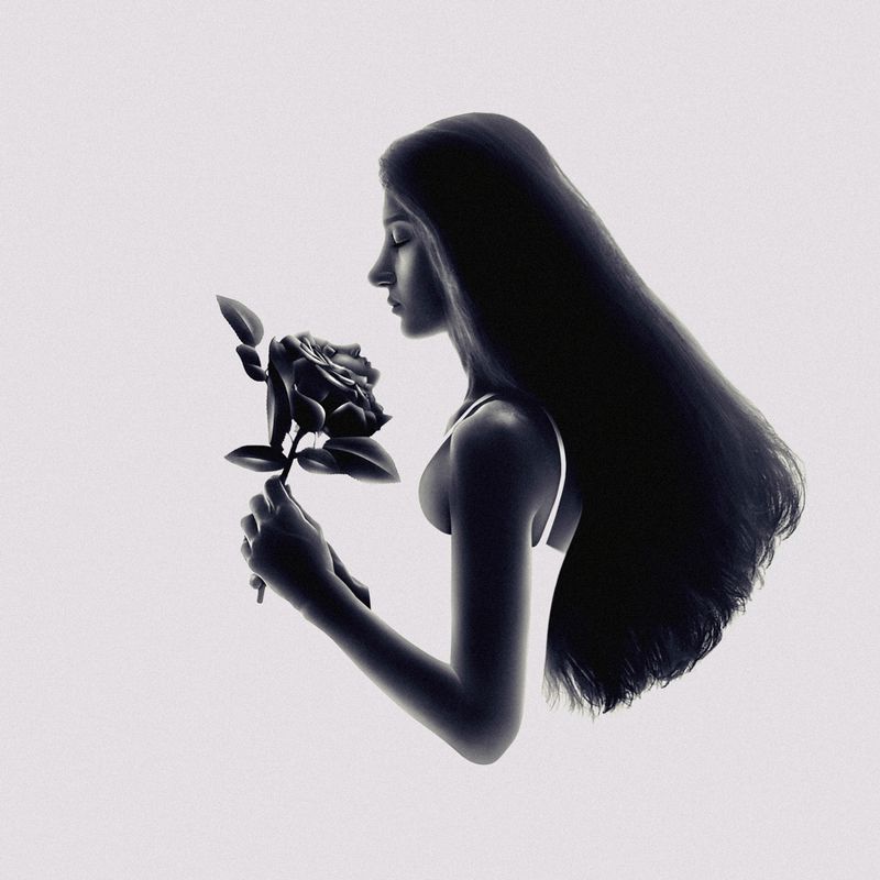 SURREAL,FANTASY,IMAGINATION,WOMAN,ART,SURREALISM,MONTAGE,SILHOUETTE,DARK ,LIGHT,PORTRAIT,ROSE,HAND,MINIMALISM,CONCEPTUAL,FINE ART,FLOWER,FACE The Soul of The Rose фото превью