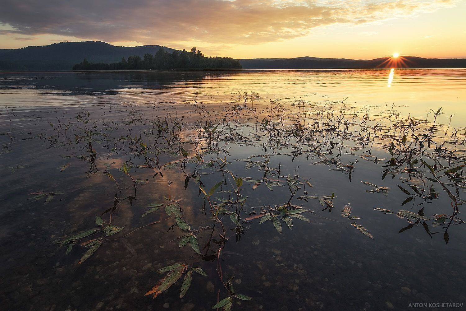 , Антон Кошетаров