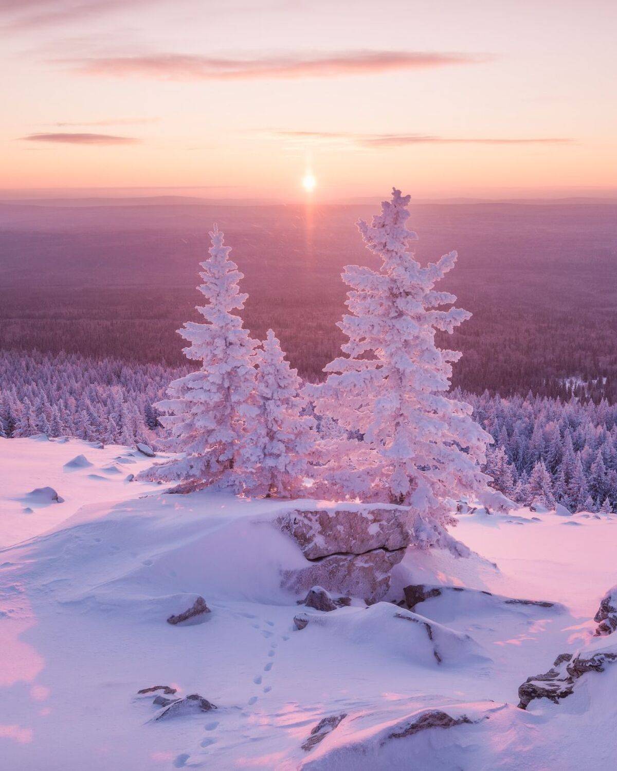 , Алексей Проняхин
