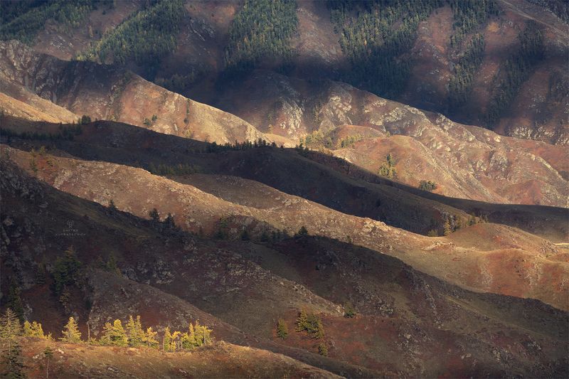 Светотени Алтая фото превью