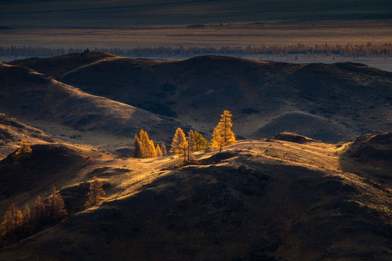 , Юрий Столыпин