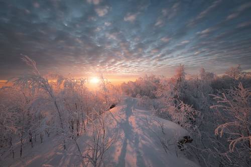 Тропинка к солнцу