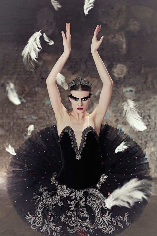 Балет, чёрный лебедь Чёрный лебедь фото превью