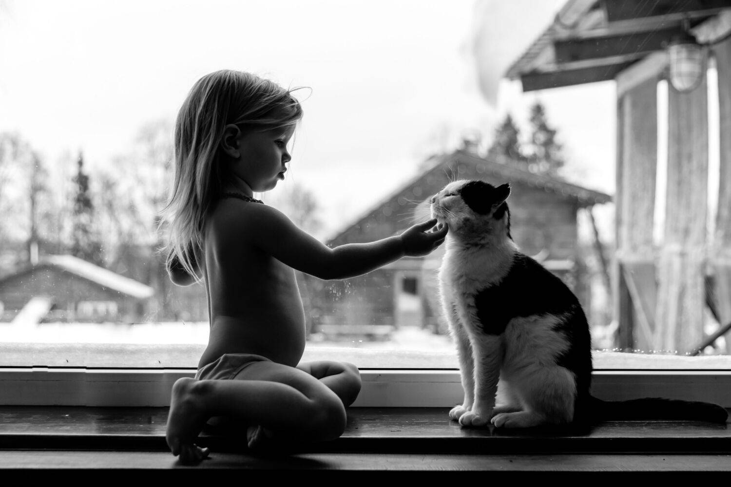 , Александр Шилов