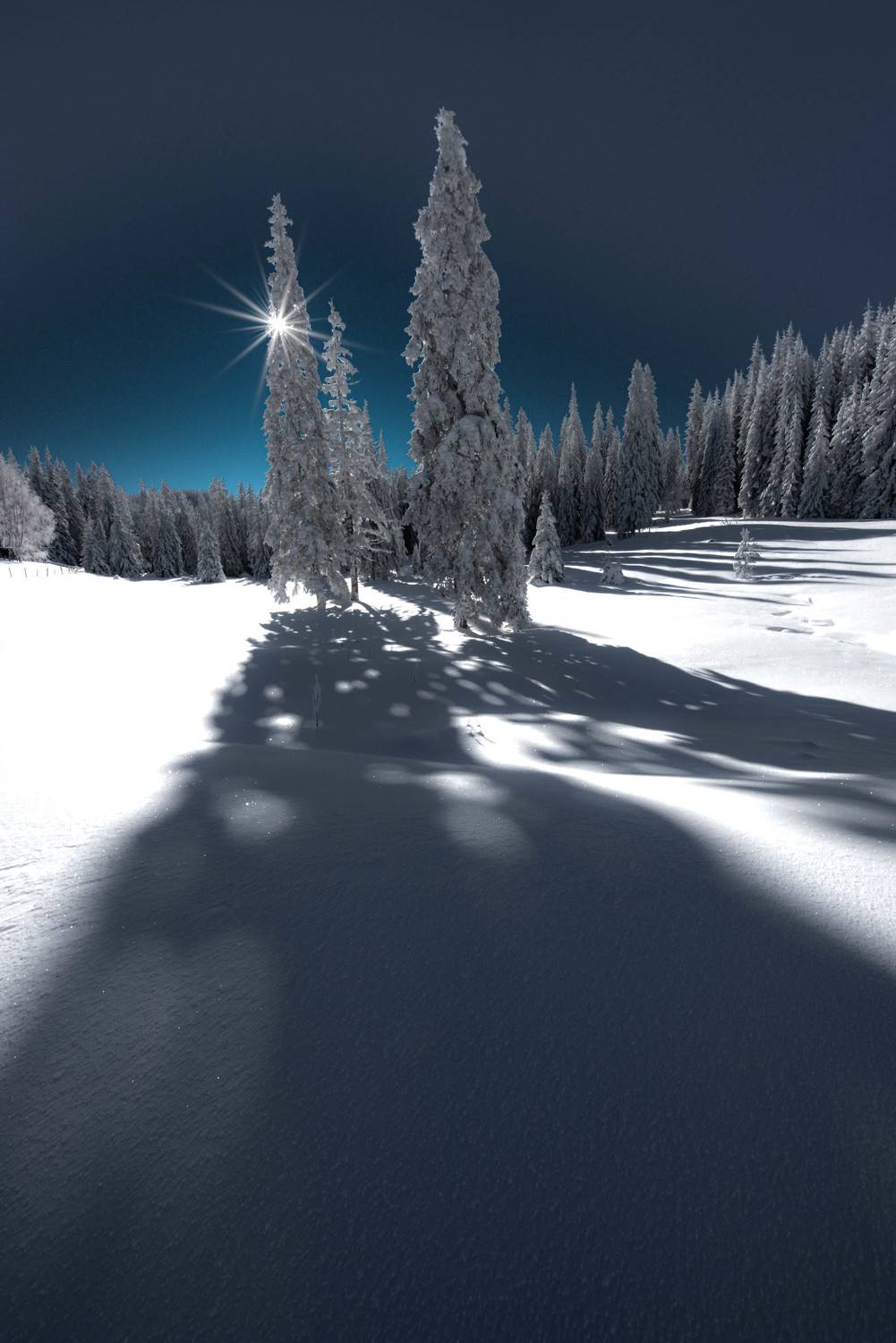 #landscape#nature#winter, Dimo Hristev