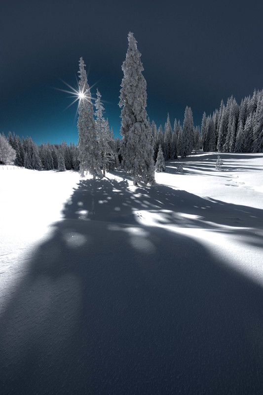 #landscape#nature#winter Зимна приказка фото превью