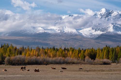 Отдых после завтрака