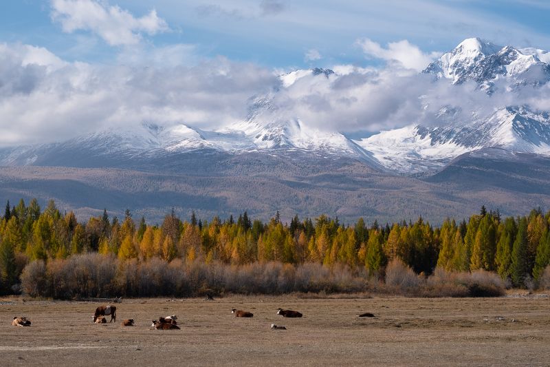 Отдых после завтрака фото превью