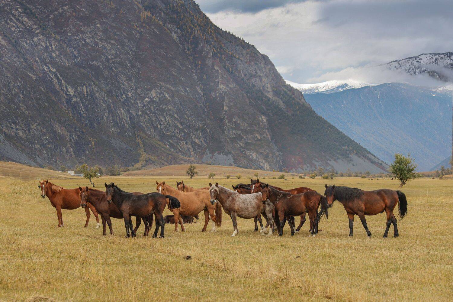 , Константин Буркин